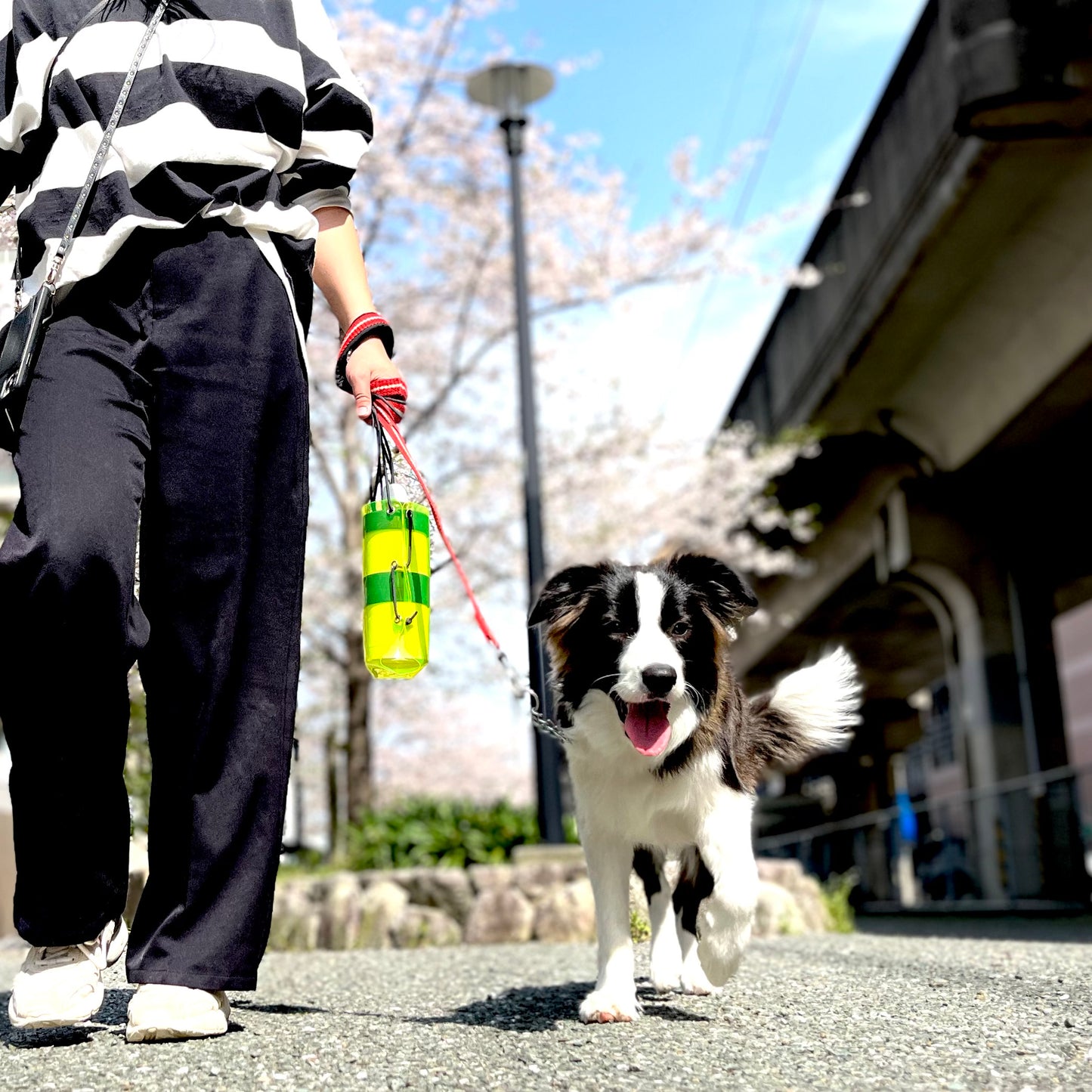 BOTTLE BAG (PVC)